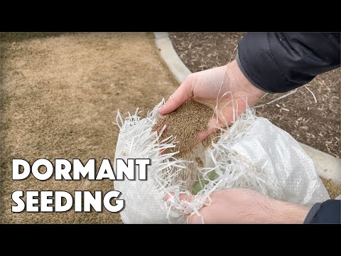 Planting Grass Seed In WINTER?? - Dormant Seeding