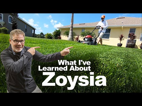 Top 5 Reasons Why I Love Zoysia Grass