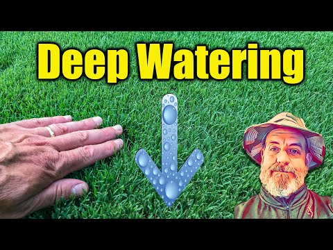 How to Water Your Lawn - Deep Cycle Watering