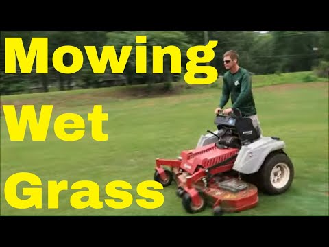 How to Cut Wet Grass - Strategy to Deal with Lawn and Customers When Raining