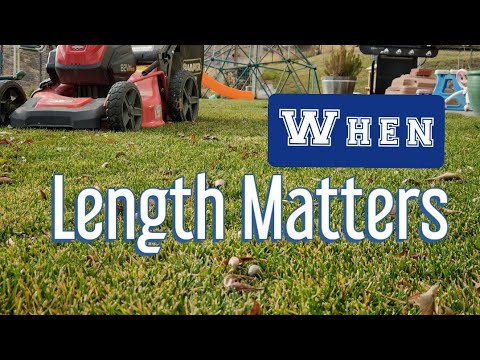 Should The Grass Be Cut Short or Long Going Into The Winter?