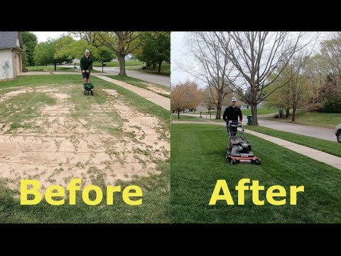 Step by Step Guide to OVERSEEDING (Better looking lawn FAST)
