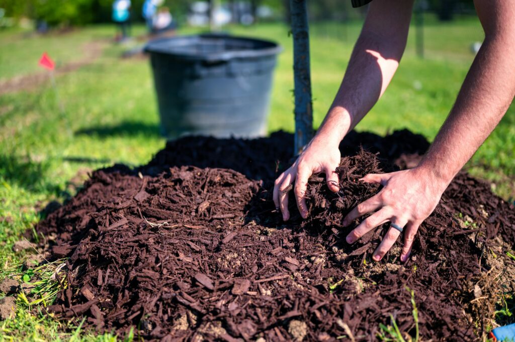 Can You Put Mulch Over the Grass on Your Lawn?